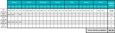 Timesheet template instructions for working on a monthly basis