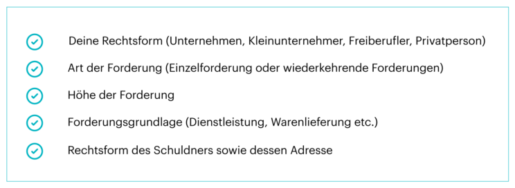 Informationen, die das Inkassountenehmen von dir als Kleinunternehmer*in braucht